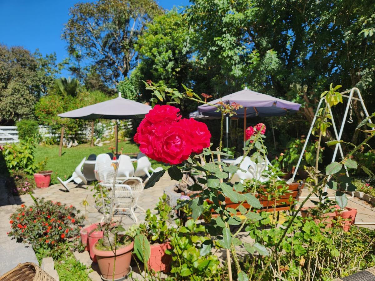 Kitnet No Sul De Minas Villa Soledade de Minas Dış mekan fotoğraf